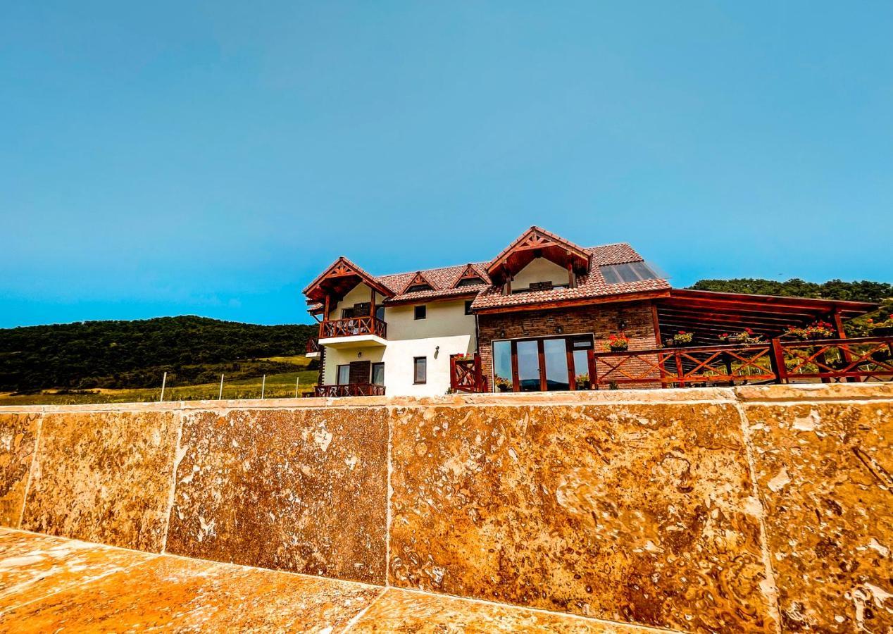Pensiunea Balkan Gornea Exterior foto