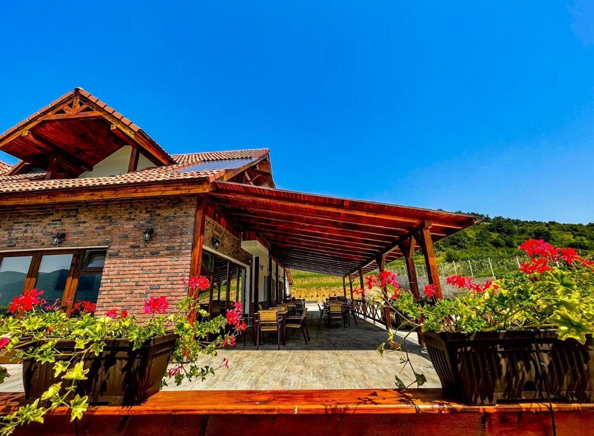 Pensiunea Balkan Gornea Exterior foto